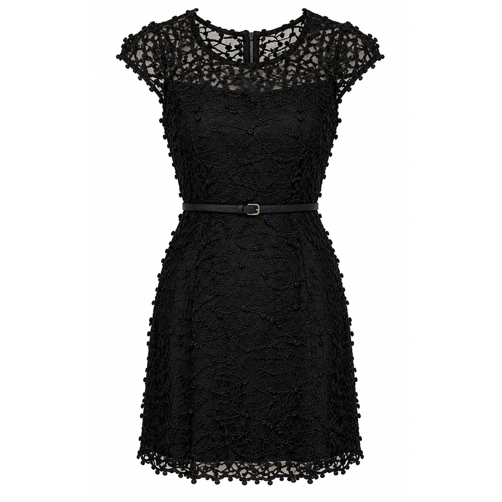 Calvin Klein Black Lace Sheath Dress Belted Whimsigoth Holiday Party Gothis Sz 2